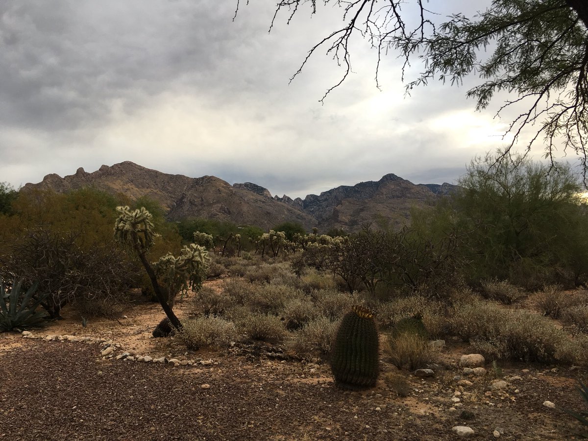 ghutchis's tweet photo. Went for a run this morning in Tuscon for #Scialog - some great science on energy storage #rescorp https://t.co/1XgF6nE9vk
