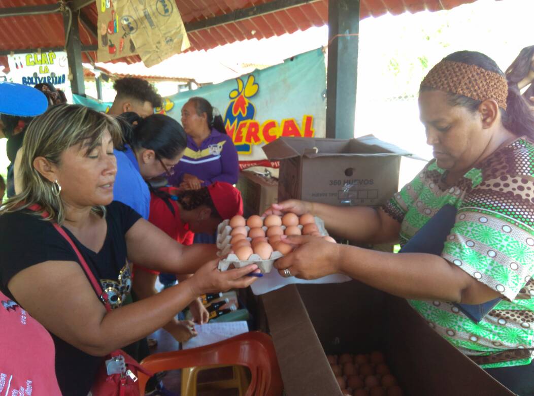 MercalOficial's tweet photo. #FeriasDelCampoSoberano en Amazonas benefician a 881 familias de la Urbanización La Bolivariana @LuisMedinaRa https://t.co/q3uovkrxHO