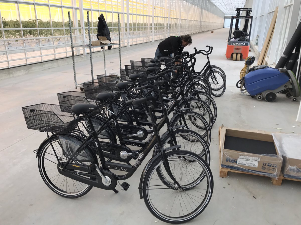 Afgelopen week veel gedaan bij Schenkeveld Schiphol, kantine/kantoor ingericht, afwerking waterruimte, bedrijfsfietsen geleverd.