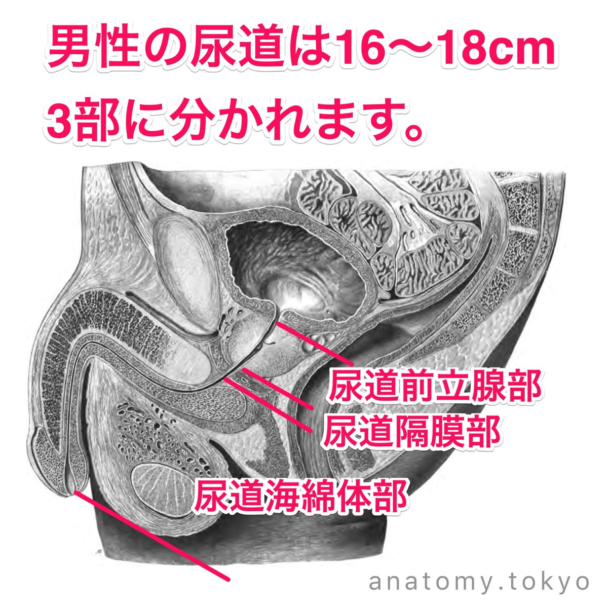 DNy8A_sUMAApJCB.jpg DNy8A_sUMAApJCB.jpg