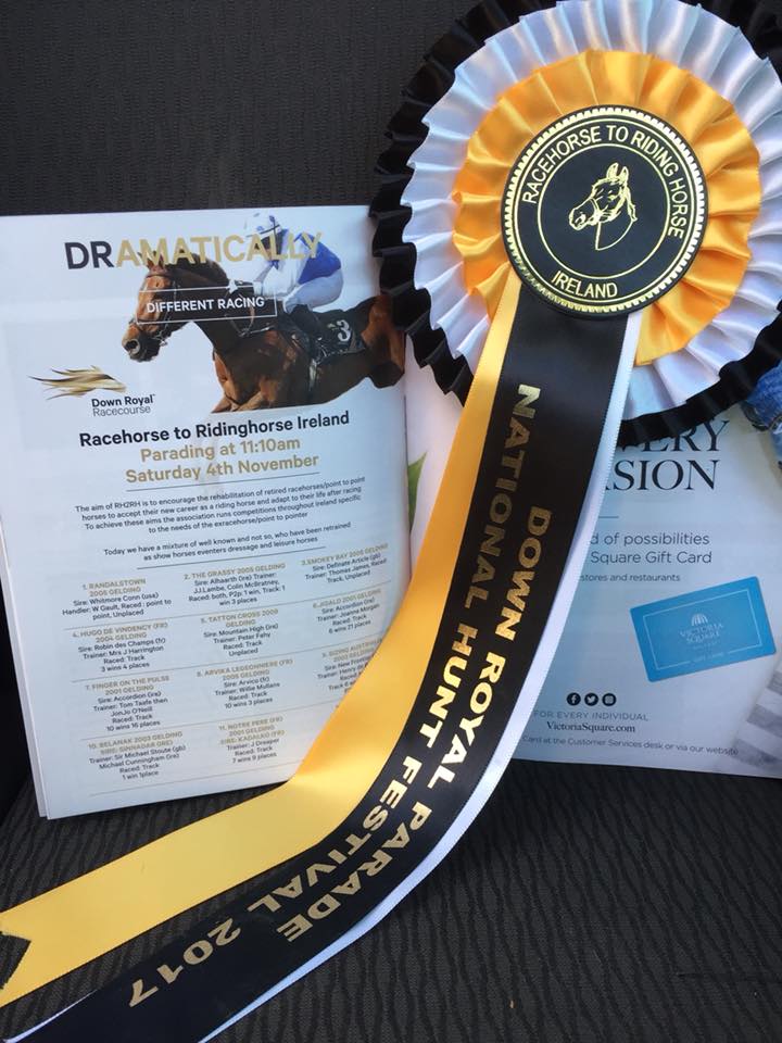riding_stables's tweet photo. Flying the flag at @Downroyal National Hunt Festival. Our @Ruth066 & Smokey Bay and Noel & Hugo De Vindecy in the #RH2RH Parade #louthchat π https://t.co/tbISjyoRRI