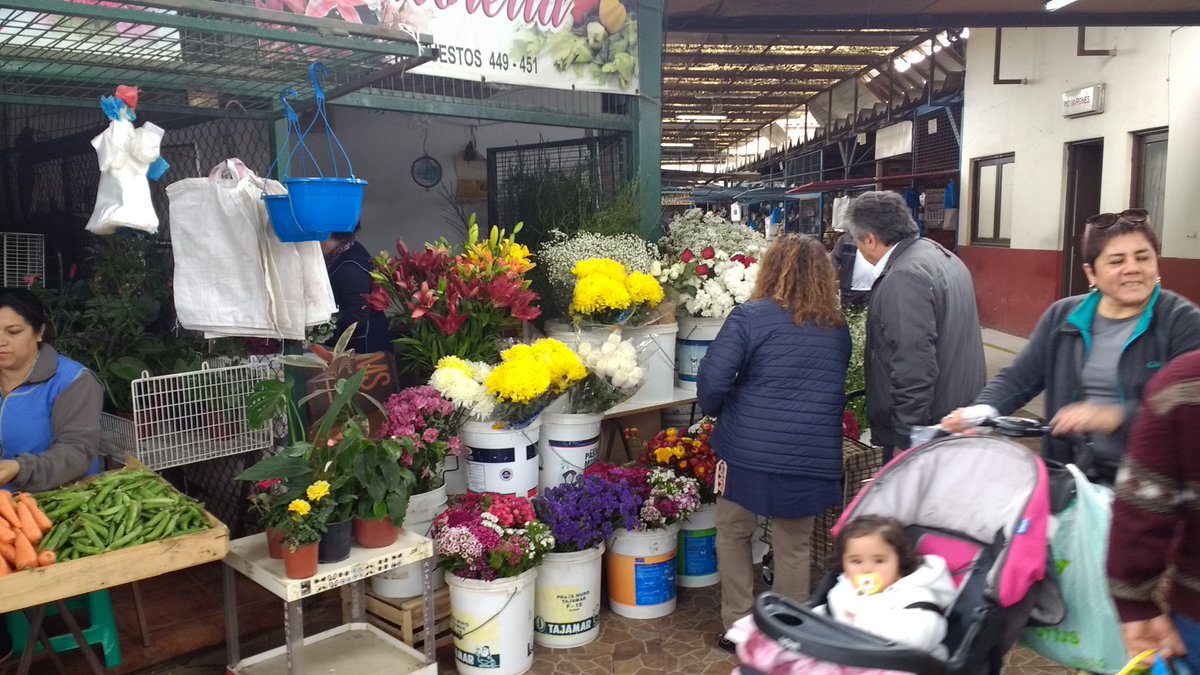 SercotecMaule's tweet photo. Ahora!! A las 12.30, Expo Sabores en Crea #Talca. Cocina en vivo. #FeriasLibres https://t.co/eSuuIBHMqh