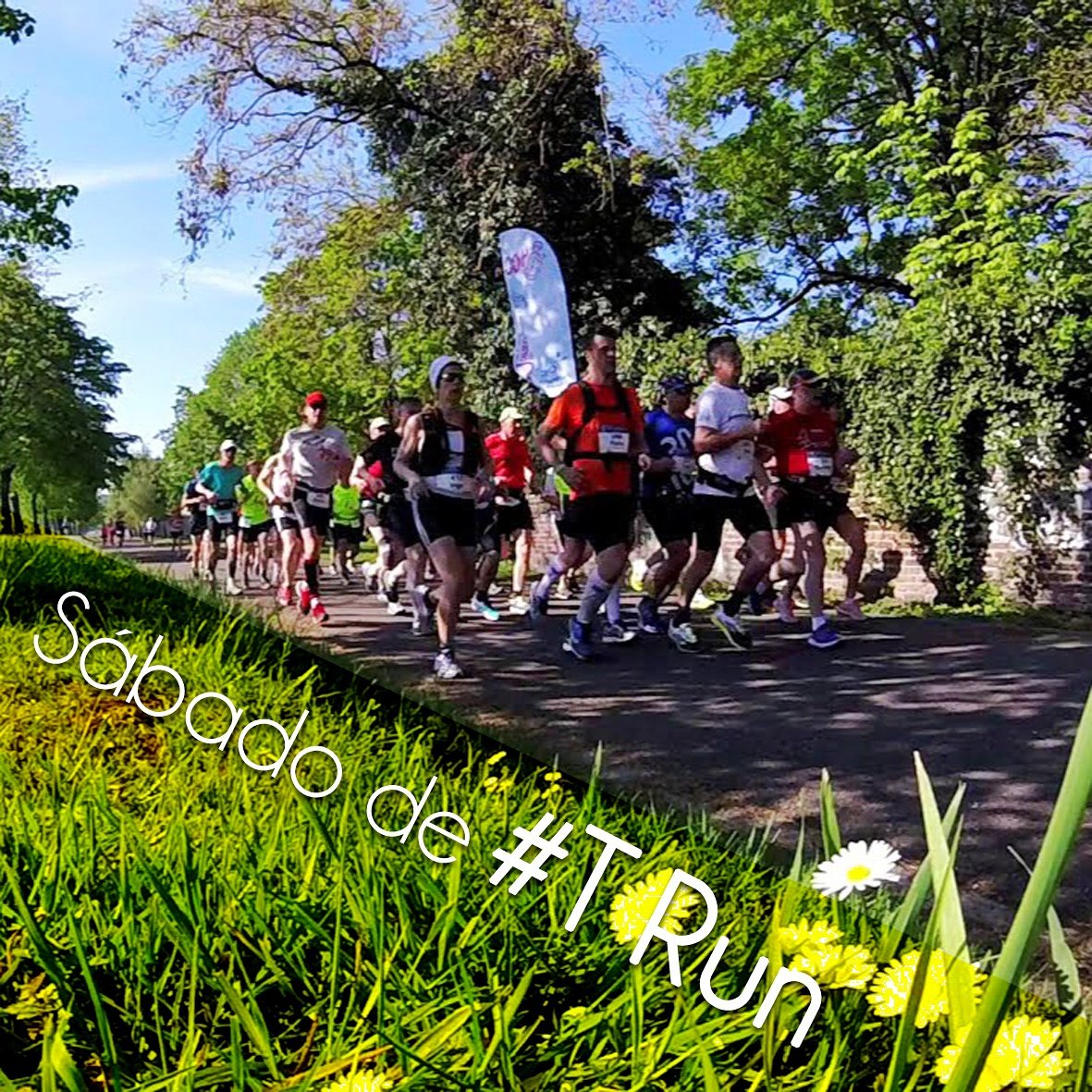 Desnivel_Posit's tweet photo. Buenos días T-Runners!
¿Hoy es?...
¡¡Sábado de T-Run!!
🙌💪👊💯➕🏃 #saturdayrunday 
#Frases #TRun https://t.co/vIudVkIcnY