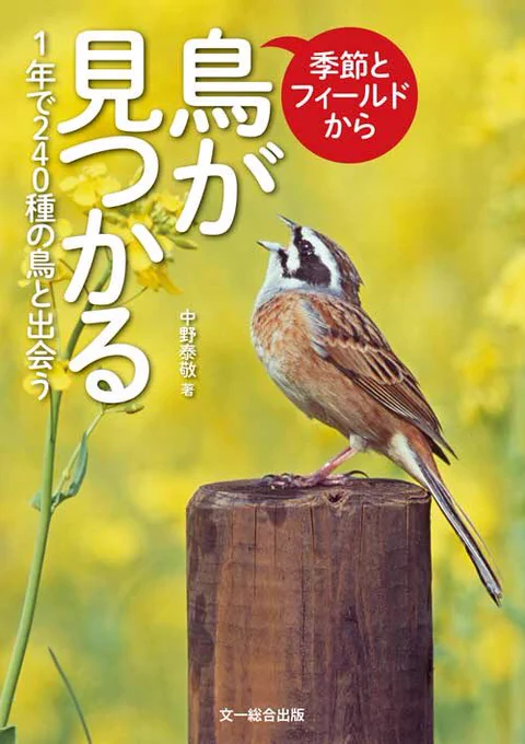 リンクはこちらです。11/22発売です。https://t.co/FQocIPkc7g 
