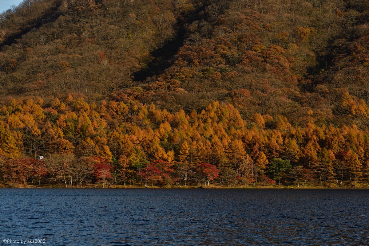 aka80801's tweet photo. 秋色

#紅葉PW  #榛名山と榛名湖 #Nikkor https://t.co/o0EnPgLi08