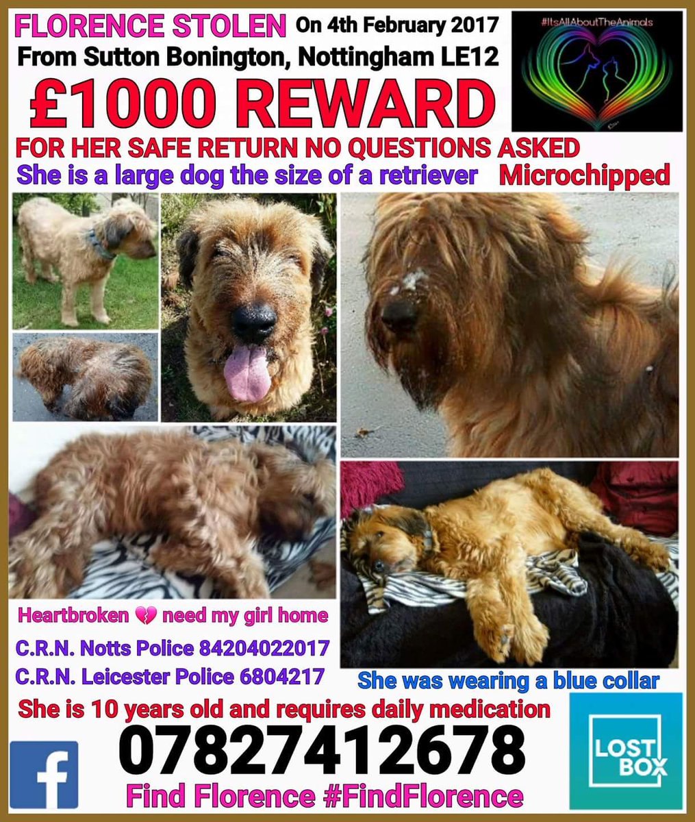 #FindFlorence tweet media