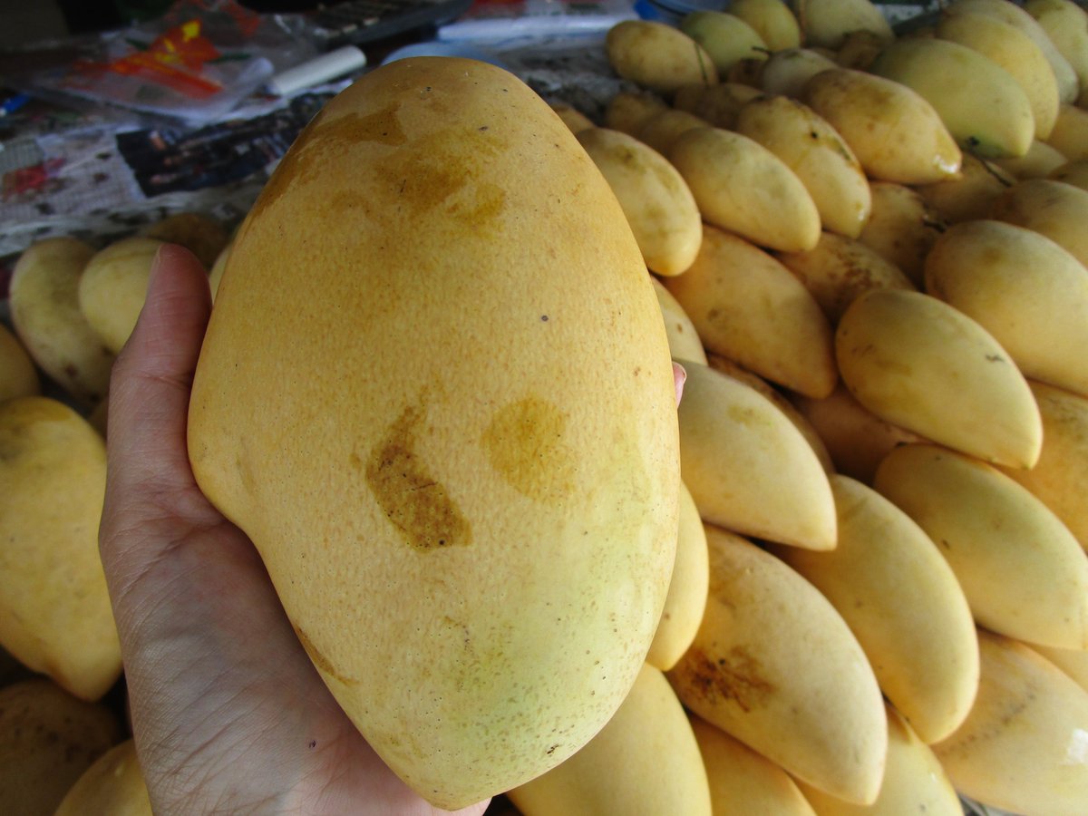 Thai_Food_Chef's tweet photo. land of abundance. join a market tour today
#cookingclass #freshmarket #Phuket #Thailand #thaifood #PhuketThaiCookingAcademy https://t.co/qz3MEYz83l