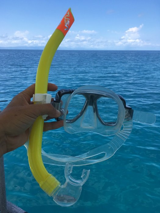 グリーン島に行こう ケアンズ Mrgreenisland Twitter