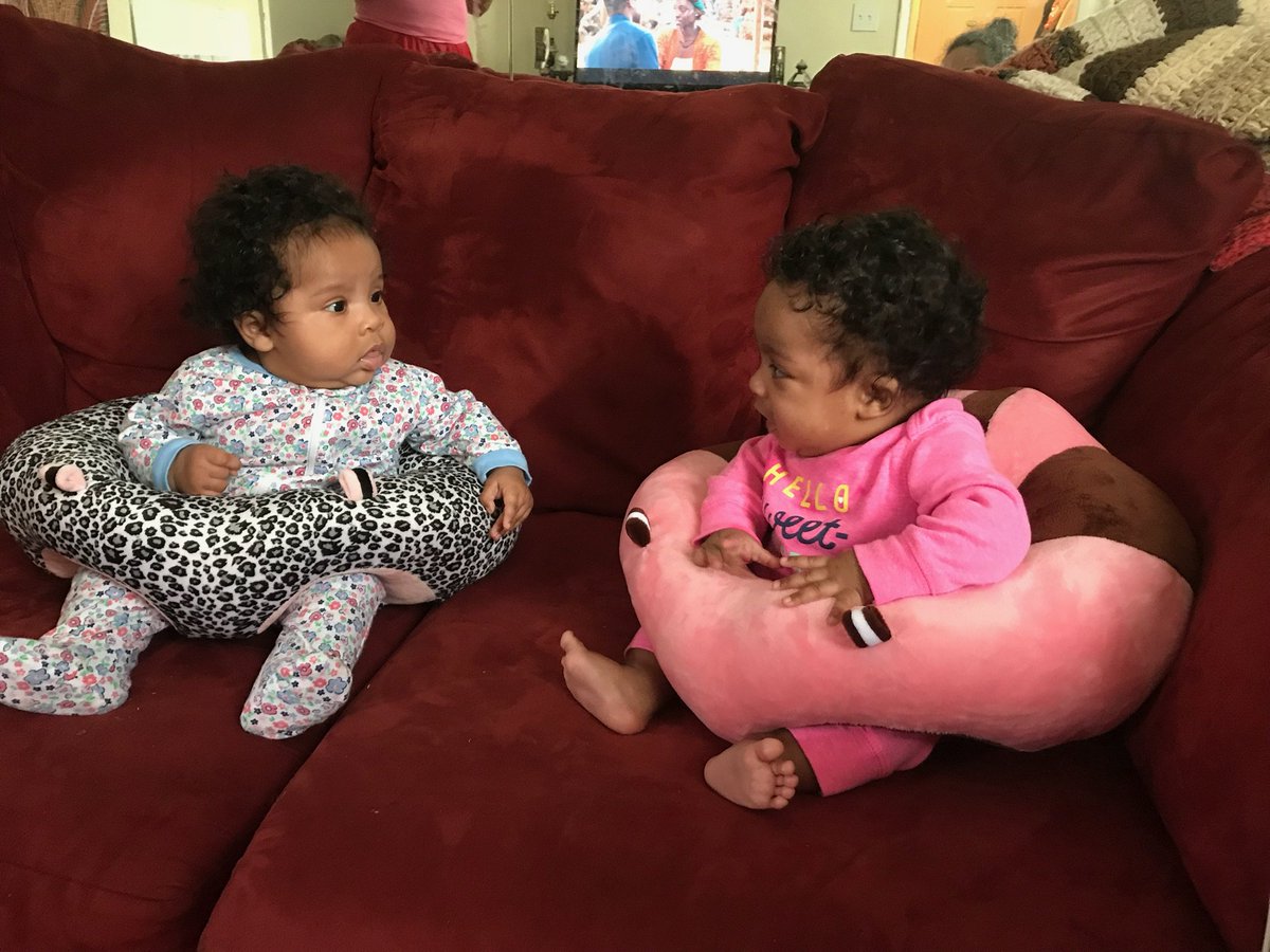 billy12079109's tweet photo. Harmony and Melody enjoying their new seats and each other's company. https://t.co/Fvo3WUtzei