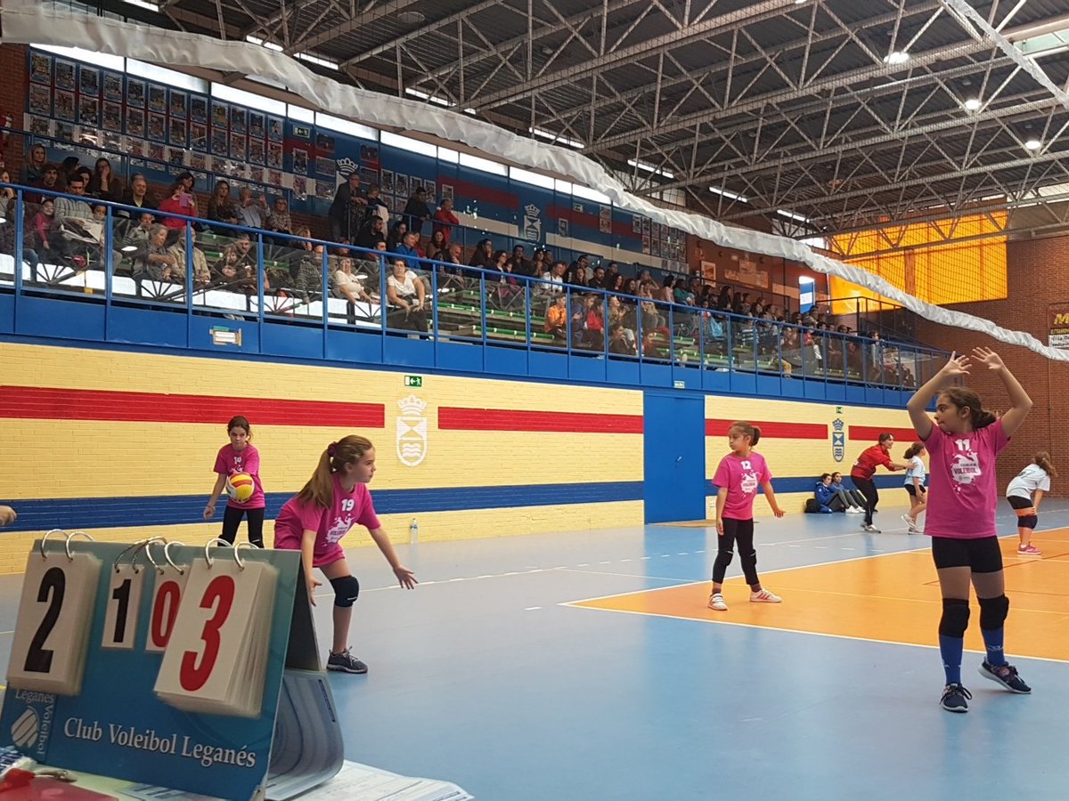VoleibolLeganes's tweet photo. 🏐 Partido alevin grupo A
⏲12.30 Rafael Fruhbeck A us @Quevedoleganes A en el Pardo Bazan.
Buen Comienzo. https://t.co/0OSes9jLTH