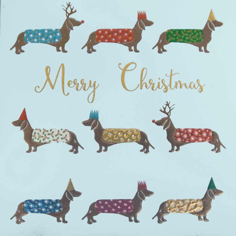YorkshireBTC's tweet photo. #Christmas cards now available at No.31 BTRS #Charity shop. £5 per pack of 10 supporting #braintumour research &amp; support #Yorkshire https://t.co/yioA4ld3ZX
