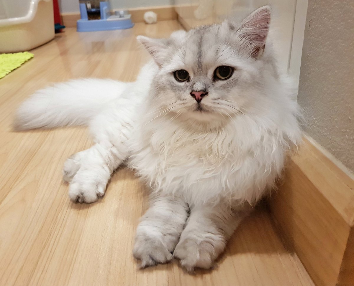 Bonusiie's tweet photo. ลองกล้อง note8 ฮะ https://t.co/F9l80lRcHV