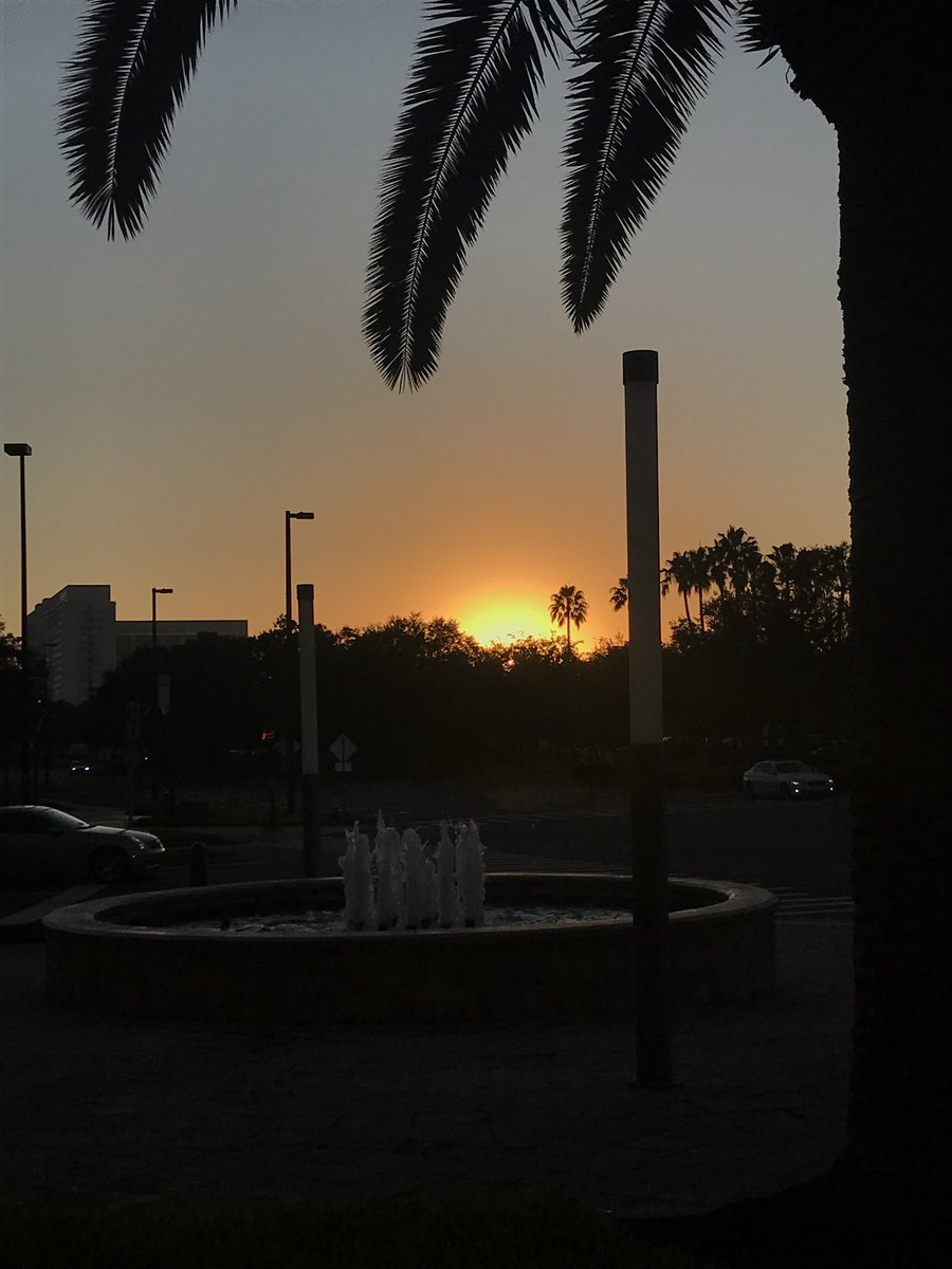 SueNJAFP's tweet photo. Good morning, @PcmhCongress! https://t.co/i9UWsvUBnX