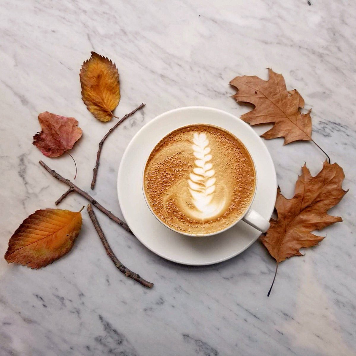Reminder to have a great cup of #coffee today and remember the daylight savings time happening this Sunday 🍂🍂🍂