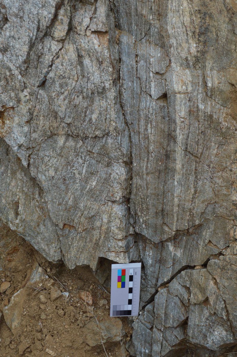 WildmanHills's tweet photo. @MicroEarthSci #ShearZoneSaturday #TeamGneiss #RockCup Gneiss fabric of Alpujárride migmatites rotating into mylonite plane. Arroyo E of Carratraca, Málaga https://t.co/rFD2UFGMvl