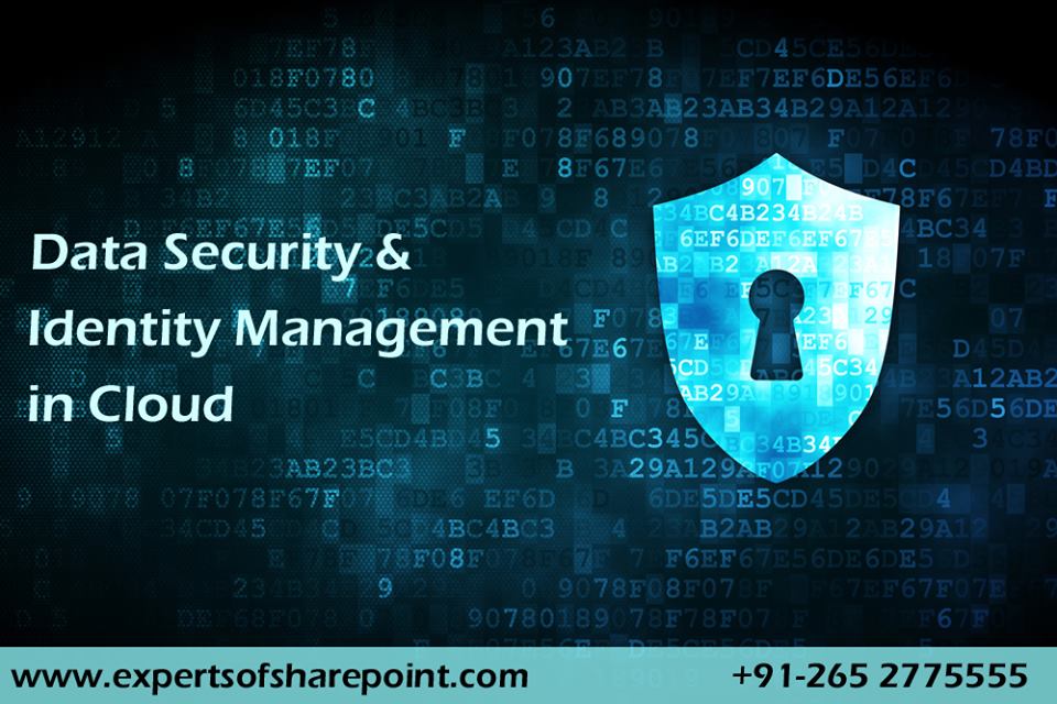 SharePoint Experts tweet media