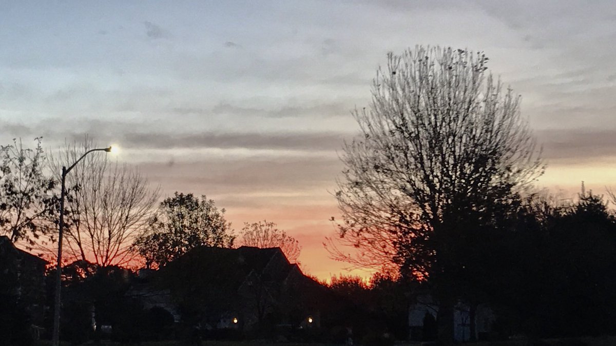 Theo_The_Pup's tweet photo. Good morning!! #NJ #Jerseyviews #morningvibes & #Jerseyskies https://t.co/l258FsUCj7