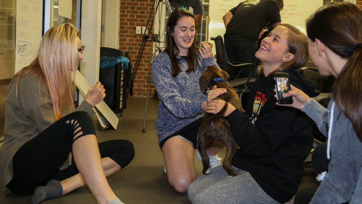 CreateAthonUSC's tweet photo. Thanks to Rick the dog for keeping the morale up during #CreateAthonUSC2017. https://t.co/tF5guNChti