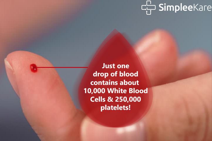 Image result for A drop of blood contains about 250,000 platelets.