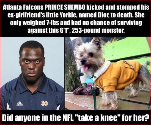 Falcons Shembo kicked & stomped this Yorkie to death. Has anyone in the @NFL taken a knee? Crickets. #BoycottNFL #BoycottNFLSponsors @NFL