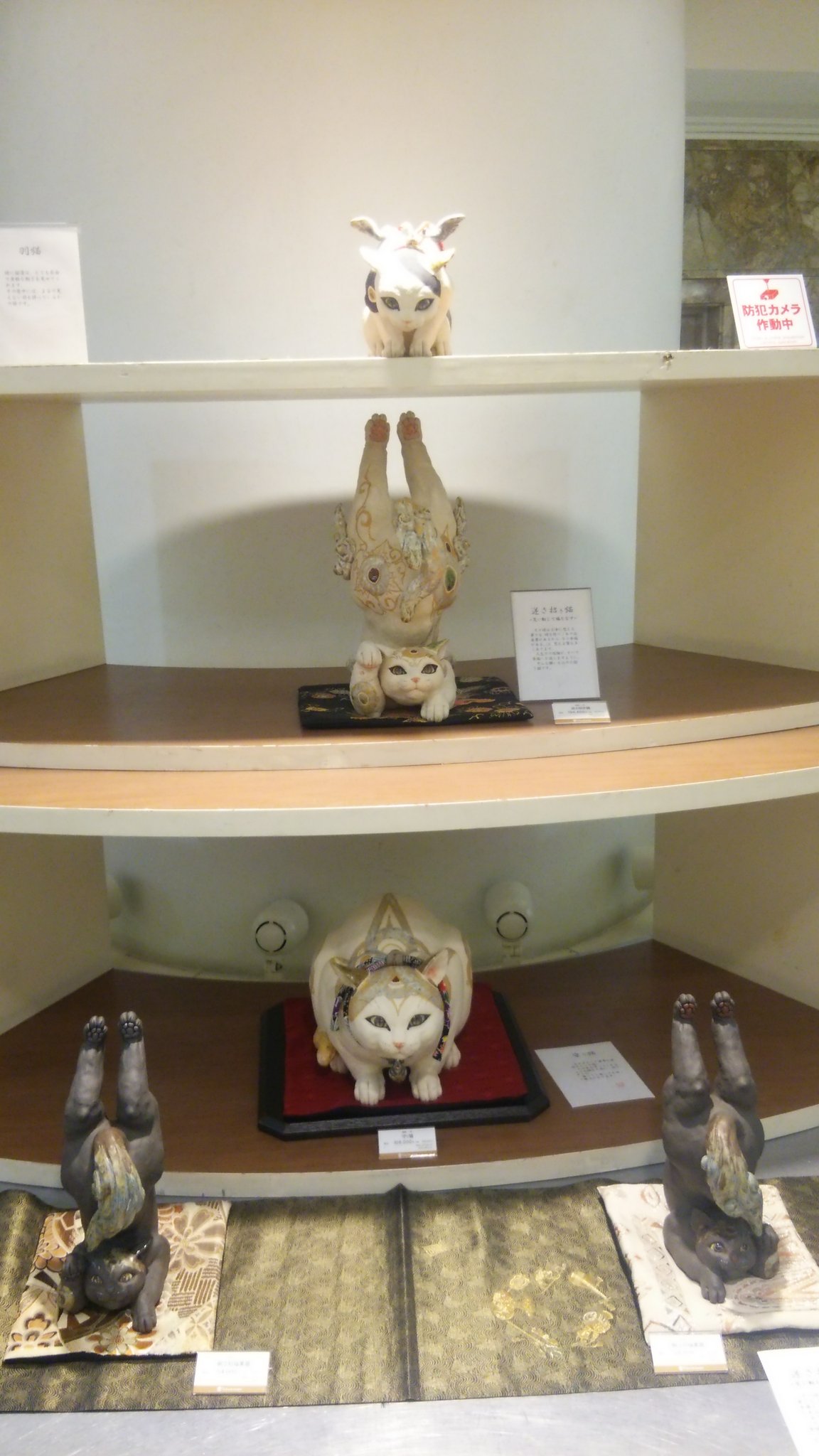 藤蓮 吉田一也先生の 京の雅猫 展にて 初日の夕方に行ったのだけど もう 購入されていて会えなかった猫ちゃんが多数 真ん中の写真の右の子は長毛種 右の写真は子猫ちゃんたち 先生の許可を得て写真を撮りました 吉田一也 猫 陶器 藤蓮 吉田一也先生の 京の雅猫 展にて 初日の夕方に行ったのだけど もう 購入されていて会えなかった猫ちゃんが多数 真ん中の写真の右の子は長毛種 右の写真は子猫ちゃんたち 先生の許可を得て写真を撮りました 吉田一也 猫 陶器