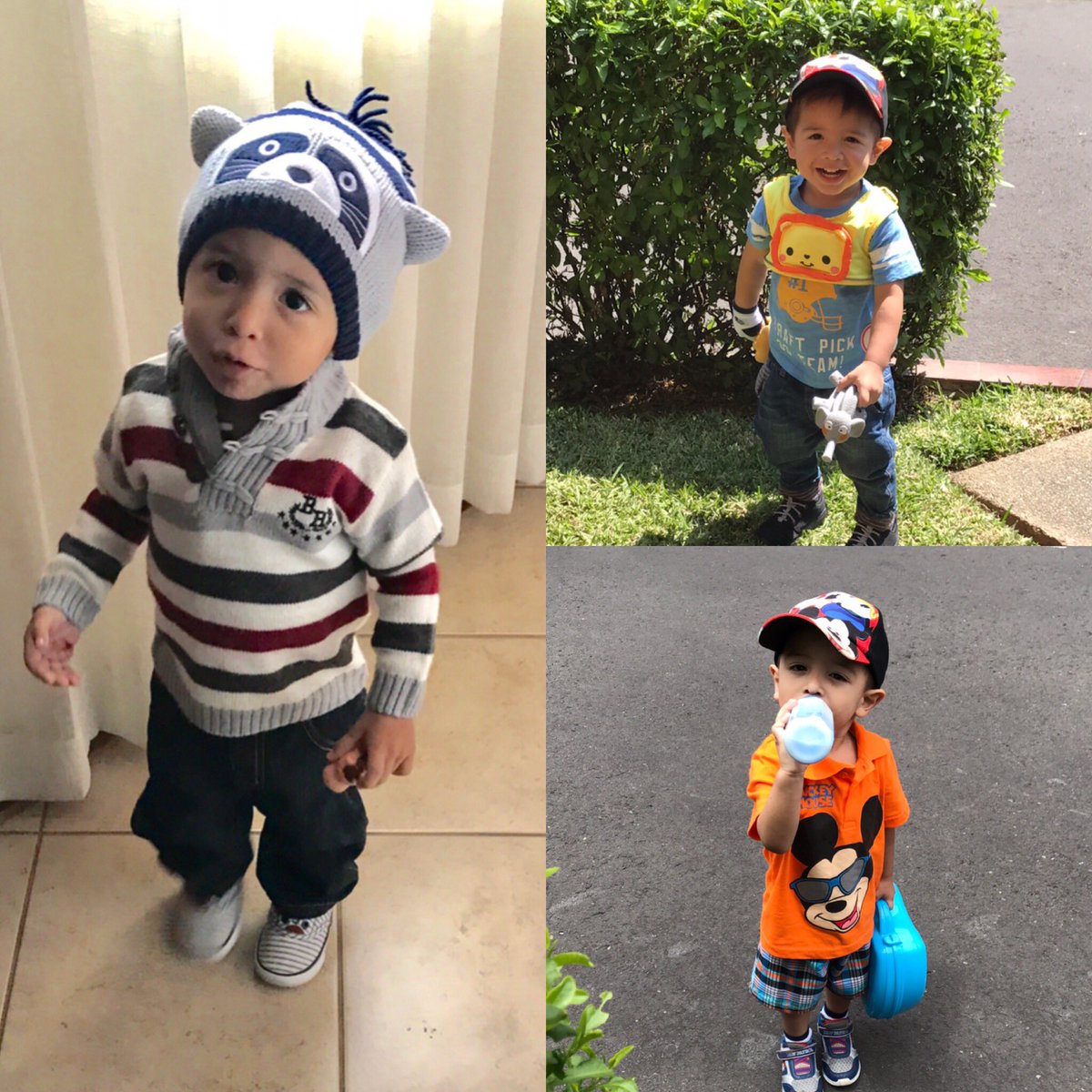 NicolasDLeon's tweet photo. #coleccionesIky @GerberLife my caracters https://t.co/xU5lvqpFJK