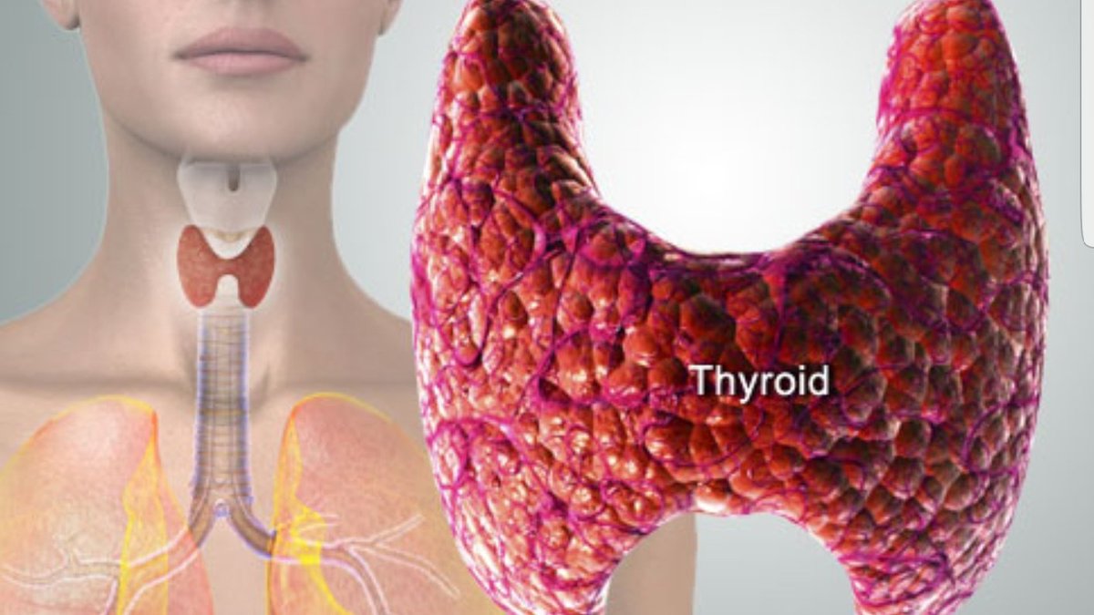 صمت 5 ايام متواصلة 😏💪
هذه تجربتي:

#الكيتو  #عرب_دايت #الصيام_المتقطع #الصيام_العكسي #مدونة_زبادي #م...