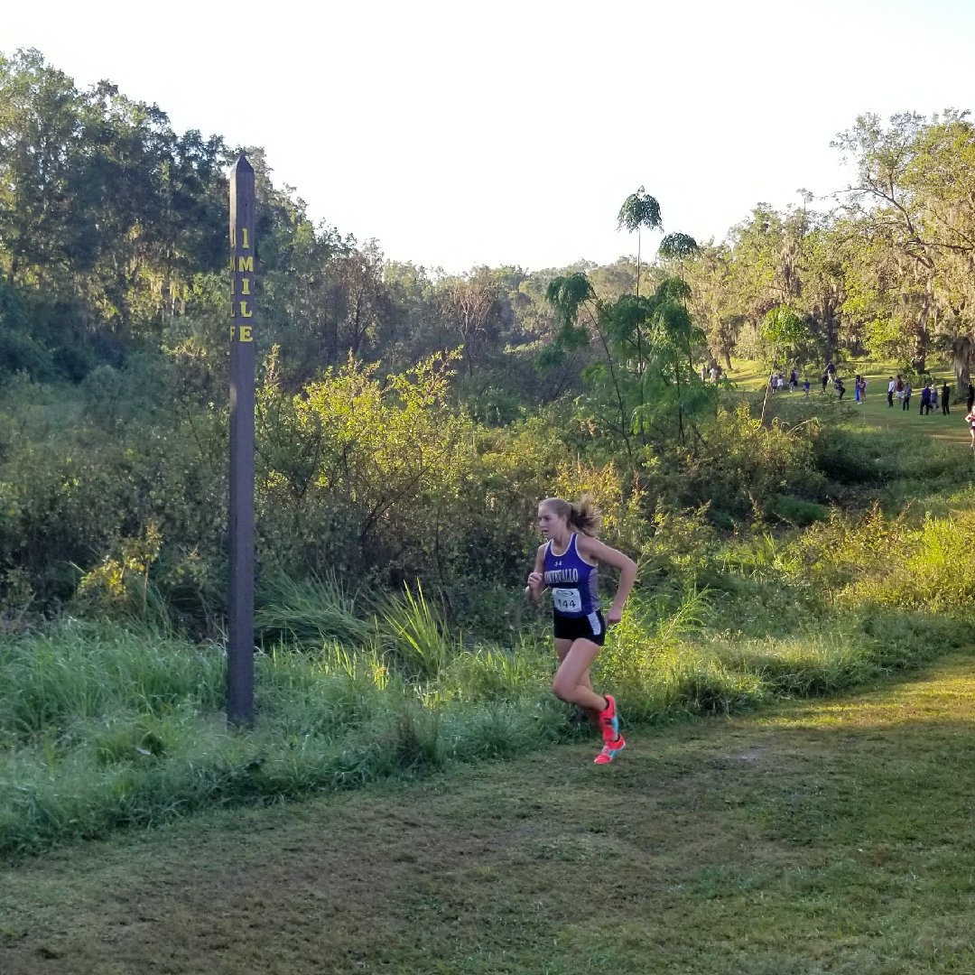 UM Sports Medicine (UM_SportsMed) Twitter