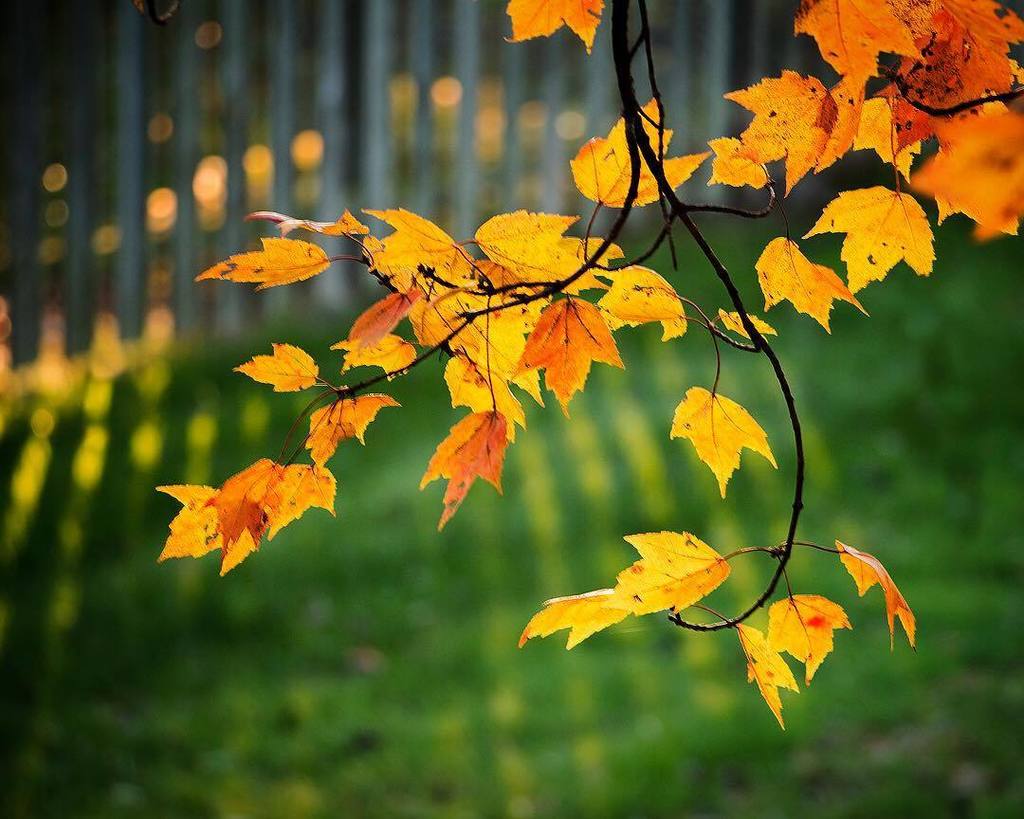 CincyBaton's tweet photo. I need the change of seasons for the well-being of my soul. https://t.co/MH7Y1g6qDL
