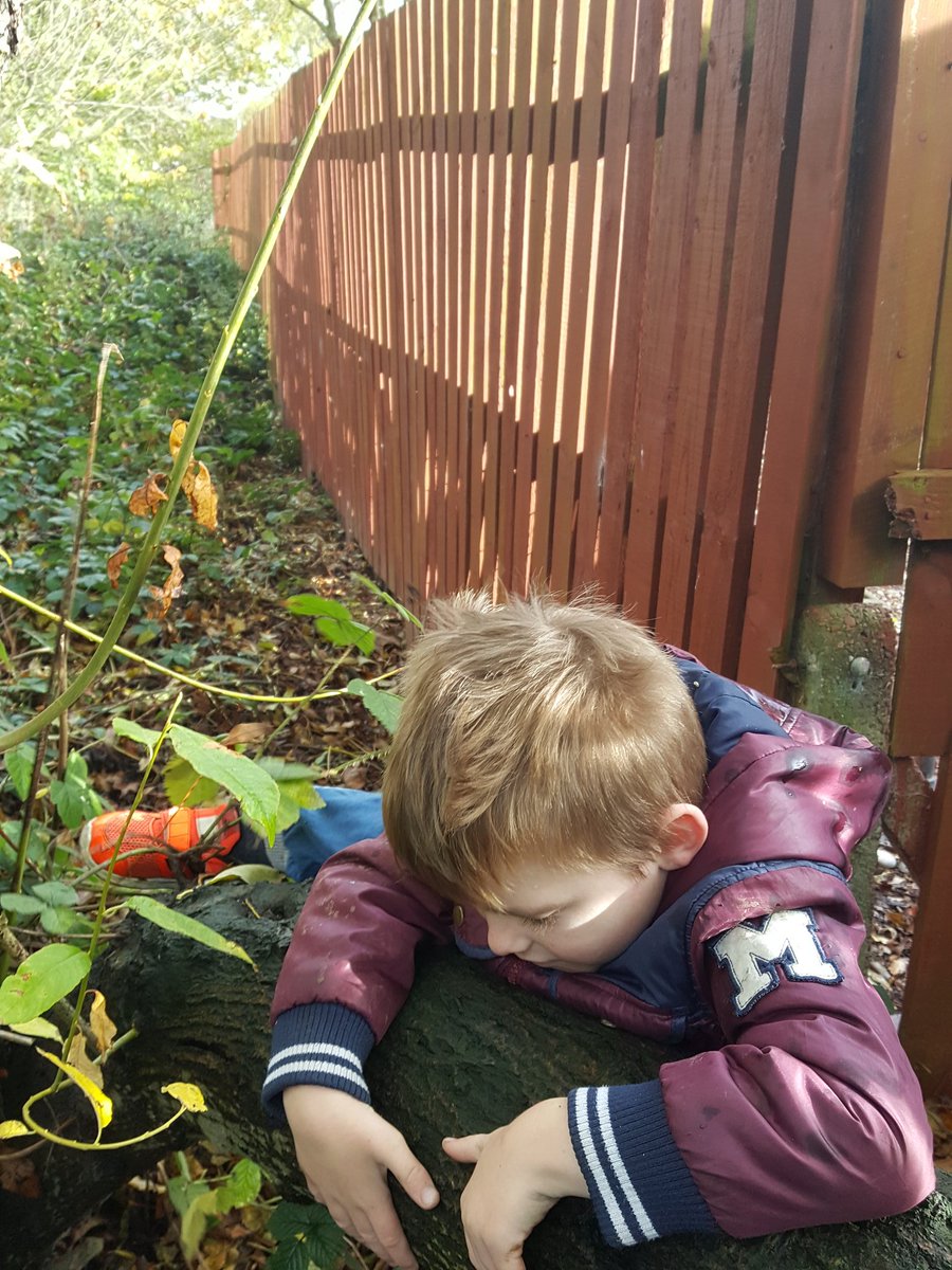 emamarshall1108's tweet photo. Romeo trying to climb a tree #OPAfunhomework @OPA_LGR_Canada https://t.co/sQYZrqHzku
