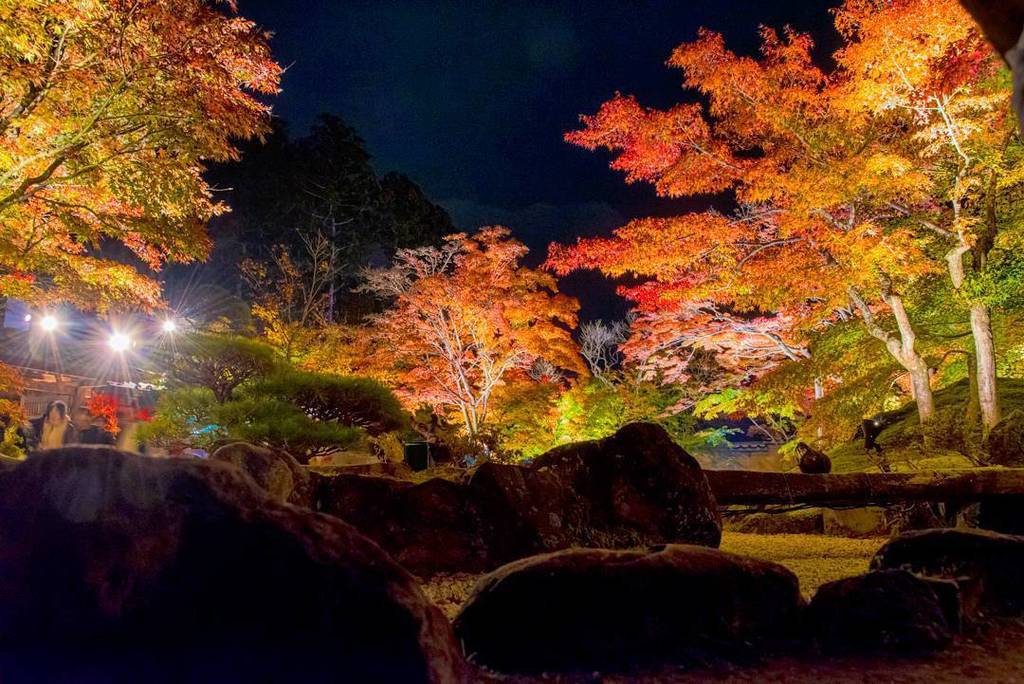Labodomy's tweet photo. 円通院2
#紅葉 #ライトアップ #円通院 #松島 #宮城 #autumnleaves #autumn #entsuin #entsuintemple #japan #matsushima #nikon #d750 #nikon… https://t.co/Rzs0J48LuG https://t.co/Kn5TXu21qA
