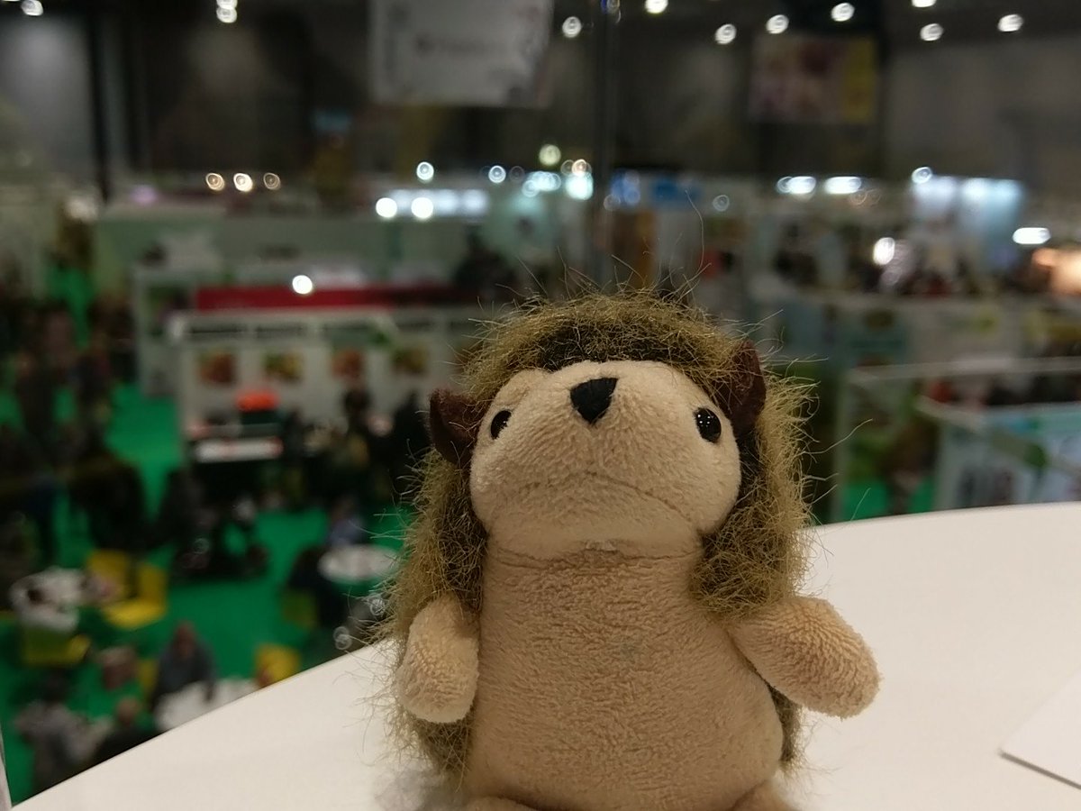 FuriouslyFree's tweet image. Me and @GrumpyHerman are @AllergyShow  Liverpool!  Trying all the tasty treats #freefrom