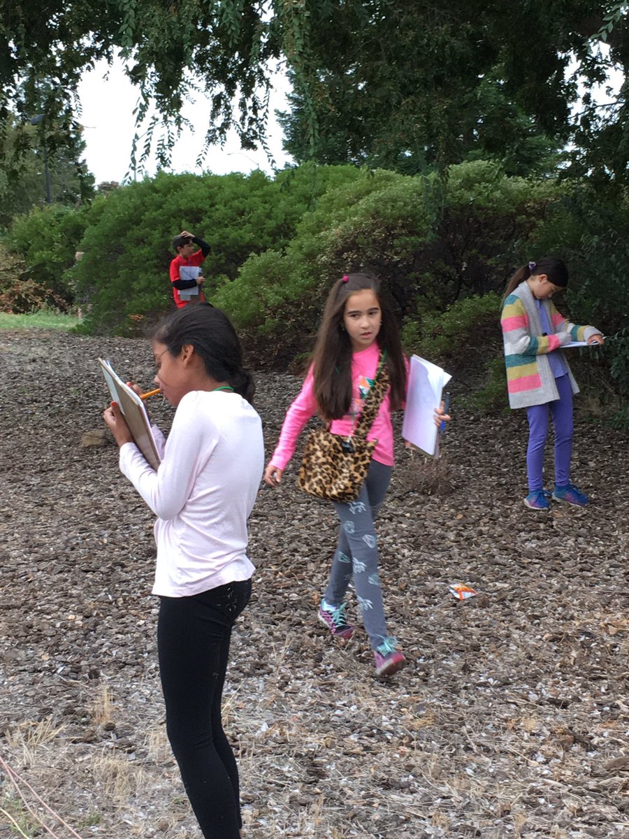 cwallace_cathy's tweet photo. Room 30 Kids kickoff a unit in our Stoneridge backyard-looking for evidence of animal habitats--Found human evidence too. #RCSDChampions https://t.co/WPLh2bNJGj