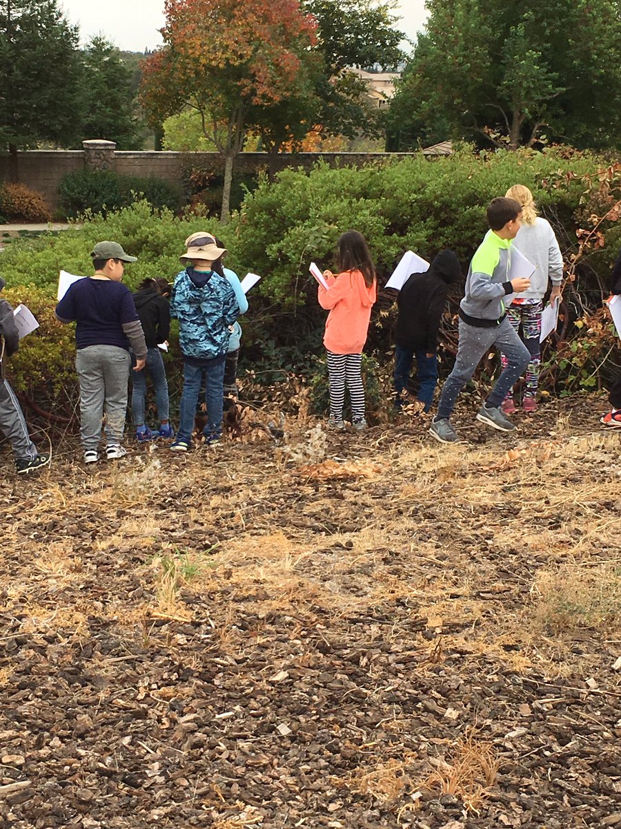 cwallace_cathy's tweet photo. Room 30 Kids kickoff a unit in our Stoneridge backyard-looking for evidence of animal habitats--Found human evidence too. #RCSDChampions https://t.co/WPLh2bNJGj
