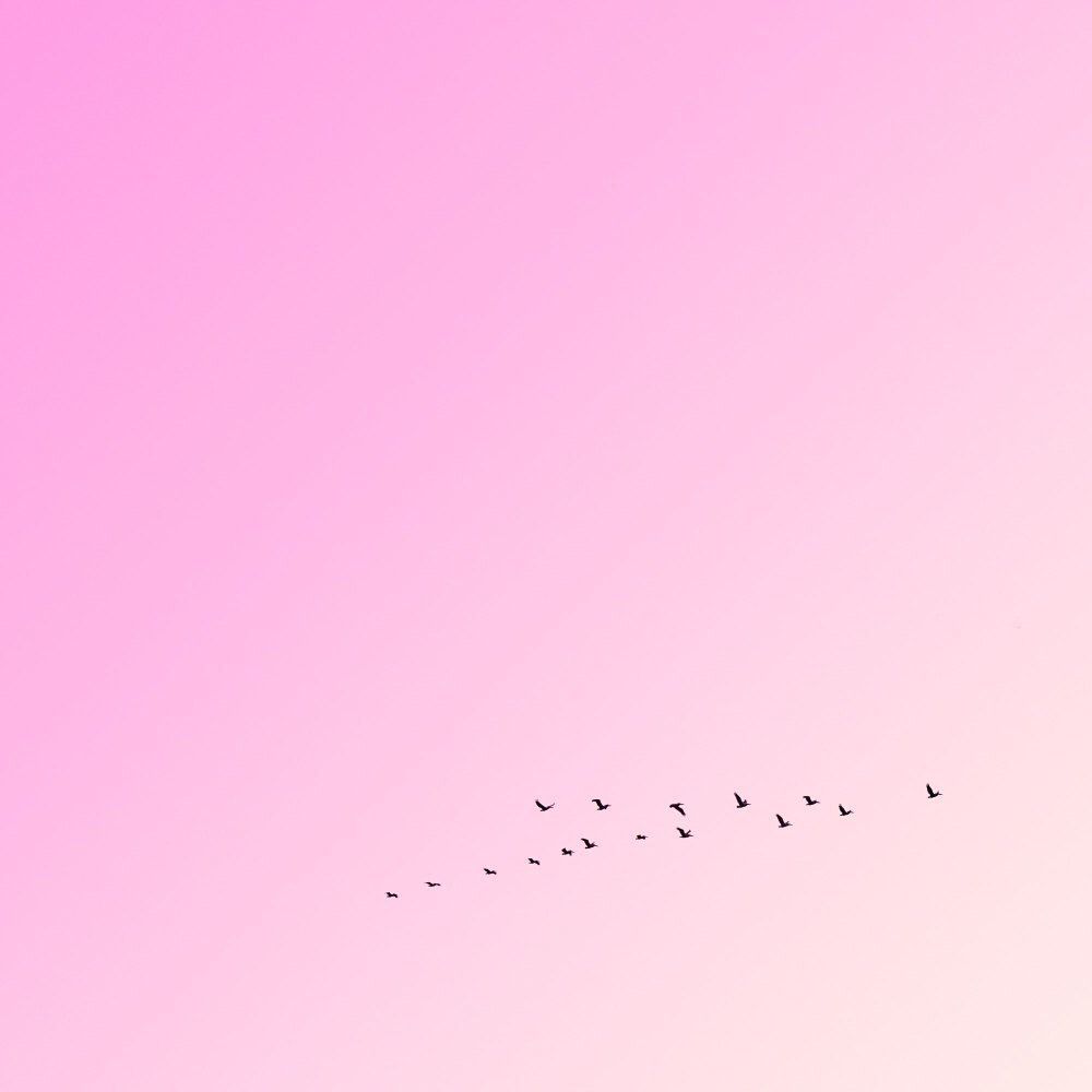 youminimalism tweet picture