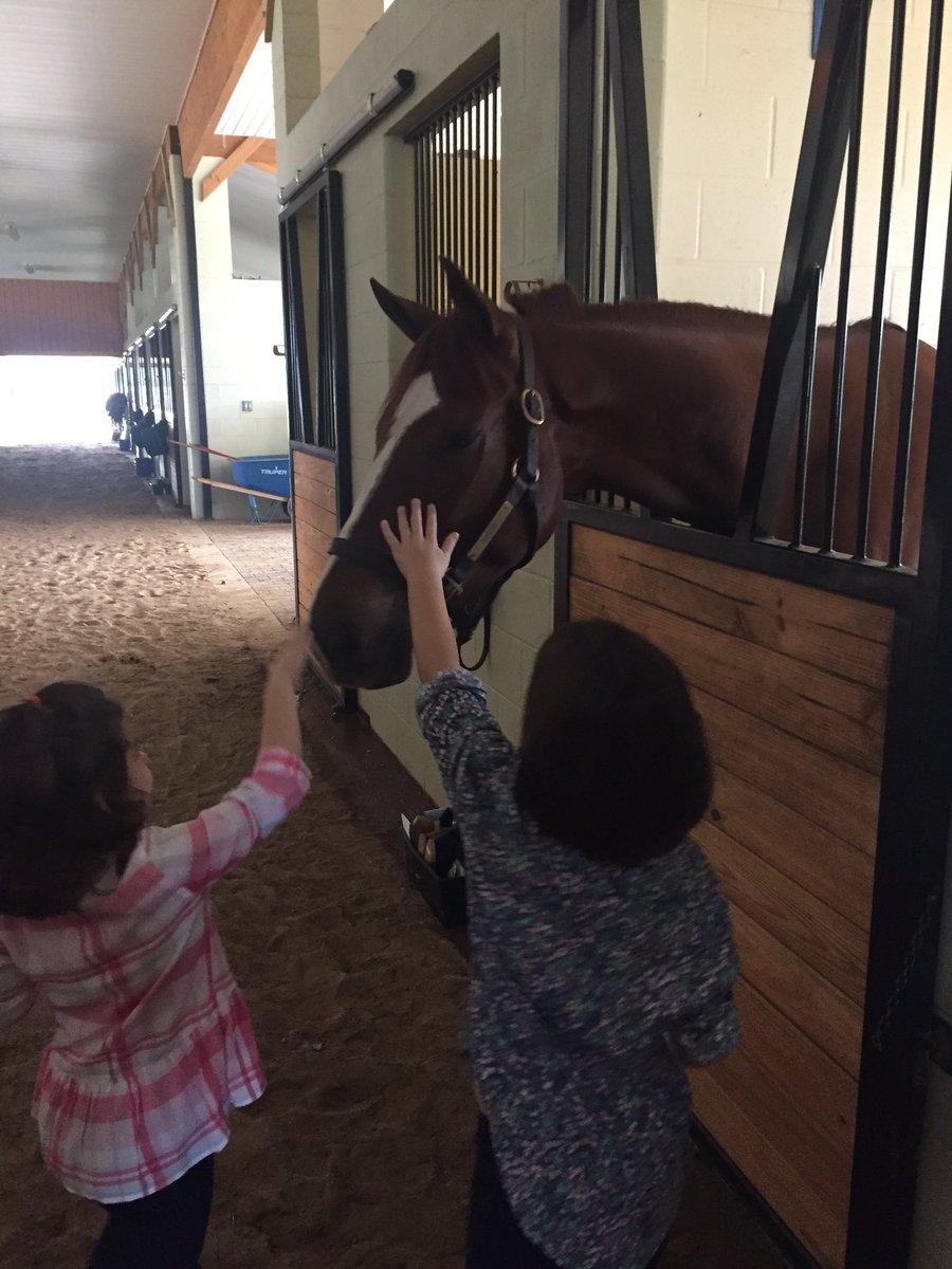 2xPrincesses's tweet photo. #Zipessa fan club checking in! Ready to cheer her on this afternoon ❤️❤️ @BreedersCup https://t.co/rNdkT4MJV2