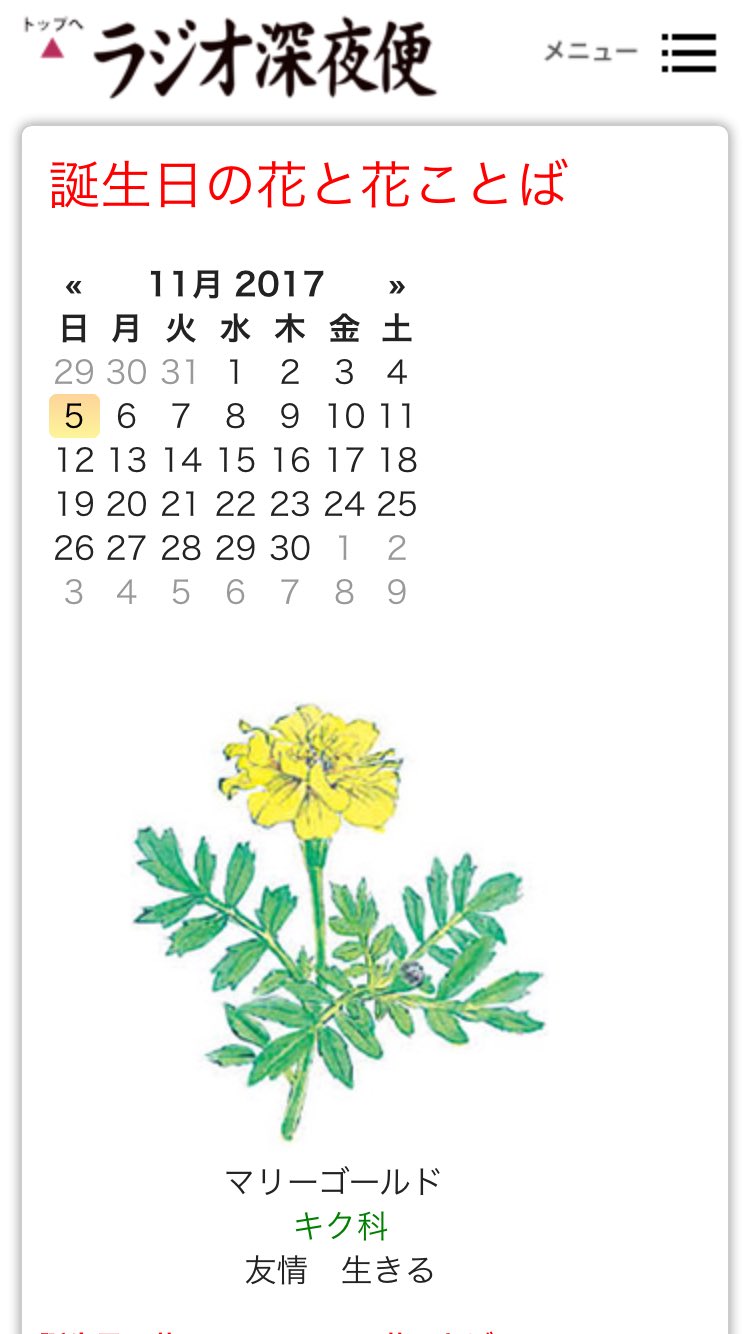 すべての美しい花の画像 無料ダウンロードマリー ゴールド 漢字