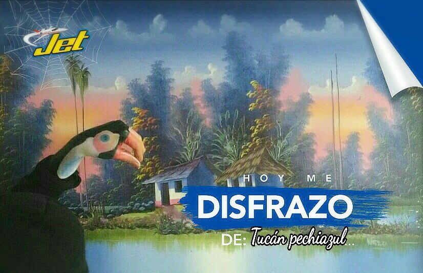 LoreinPMo's tweet photo. @chocolatesjet @chocolatesjet Hoy me disfrazo de Tucán Pechiazul, lámina 214 #AlbumJet. Acepto términos y condiciones https://t.co/cHmBJbuJxo