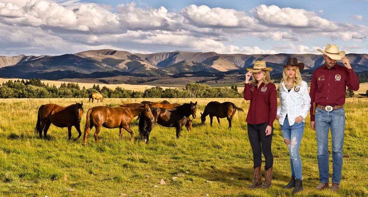 Ippostrade Volcanic Wine Park tweet media