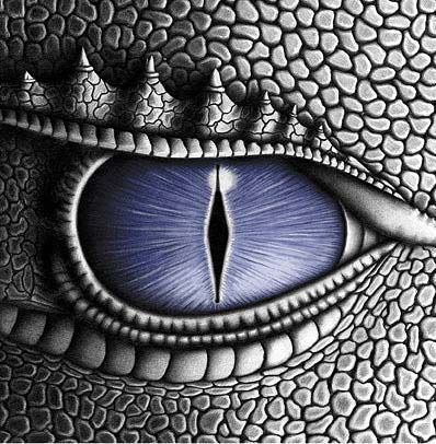 DragonEverythig's tweet photo. Shruikan's eye

https://t.co/ZCNApIjFQ3 https://t.co/JuEmOLfbJu