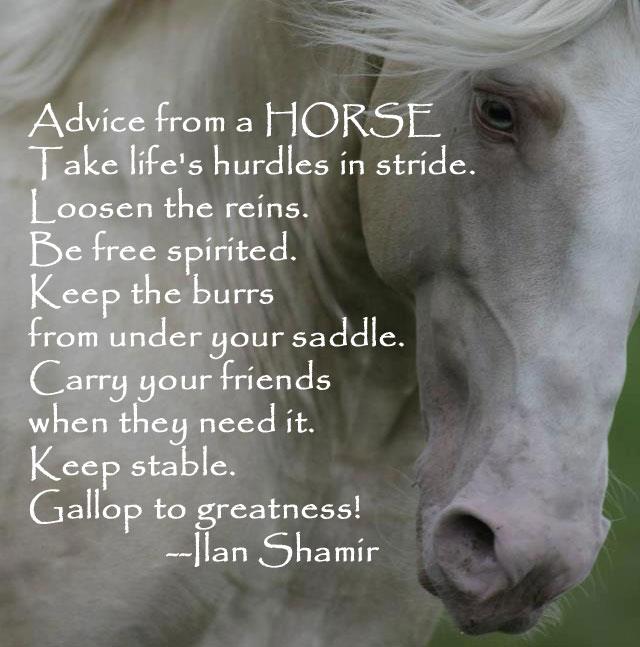 Take life's hurdles in stride. Please donate. Horses make great therapy for veterans. bit.ly/1RH93i8