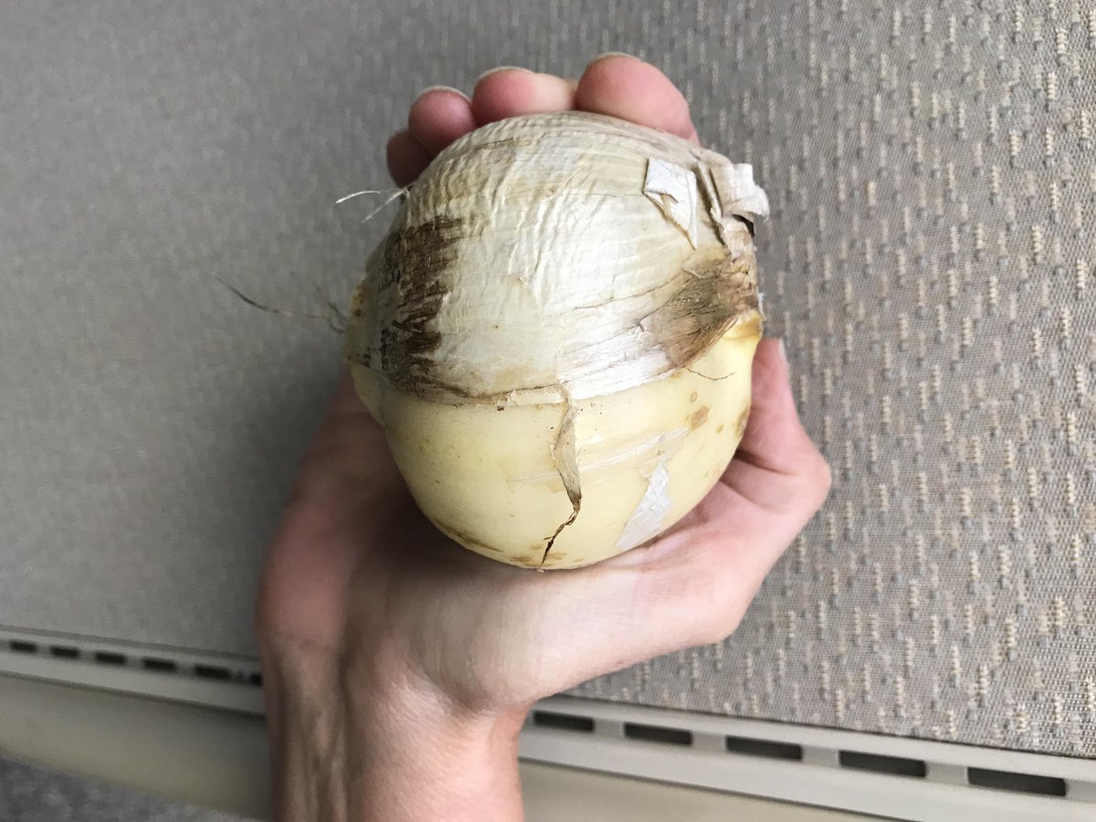 brecksdotcom's tweet photo. This is one of our smaller Beau Regard Allium bulbs! These bulbs sold out fast, but look for them next year! https://t.co/5g8zlSmRzO