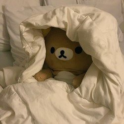 sceneryfortae's tweet photo. @bts_bighit my heart is so soft https://t.co/gkVU3gM8jS