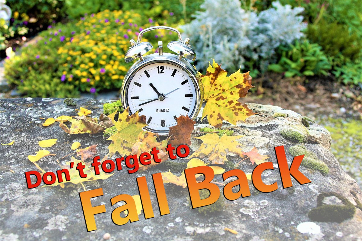 TheLWTech's tweet photo. Remember to set your clocks back by one hour tonight! #FallBack #DaylightSavings #Fall4LWTech https://t.co/CvytMnPS3y