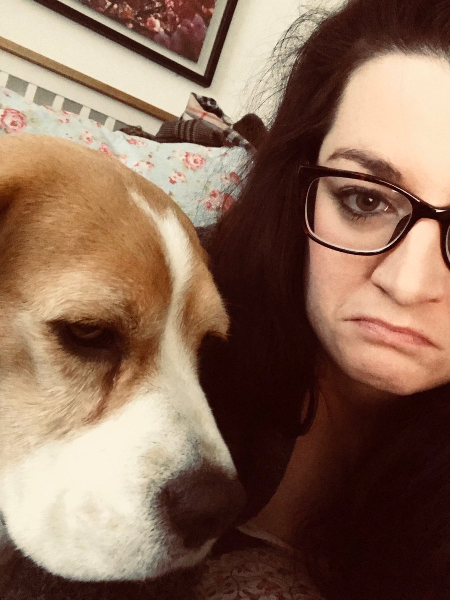 J0gilvie's tweet photo. Saturday study buddy #WeHateFireworks https://t.co/dQuXVTvWFL