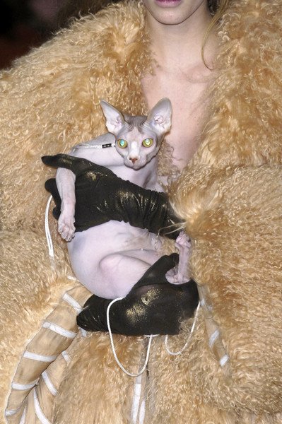 cats @ jean paul gaultier fall 2006