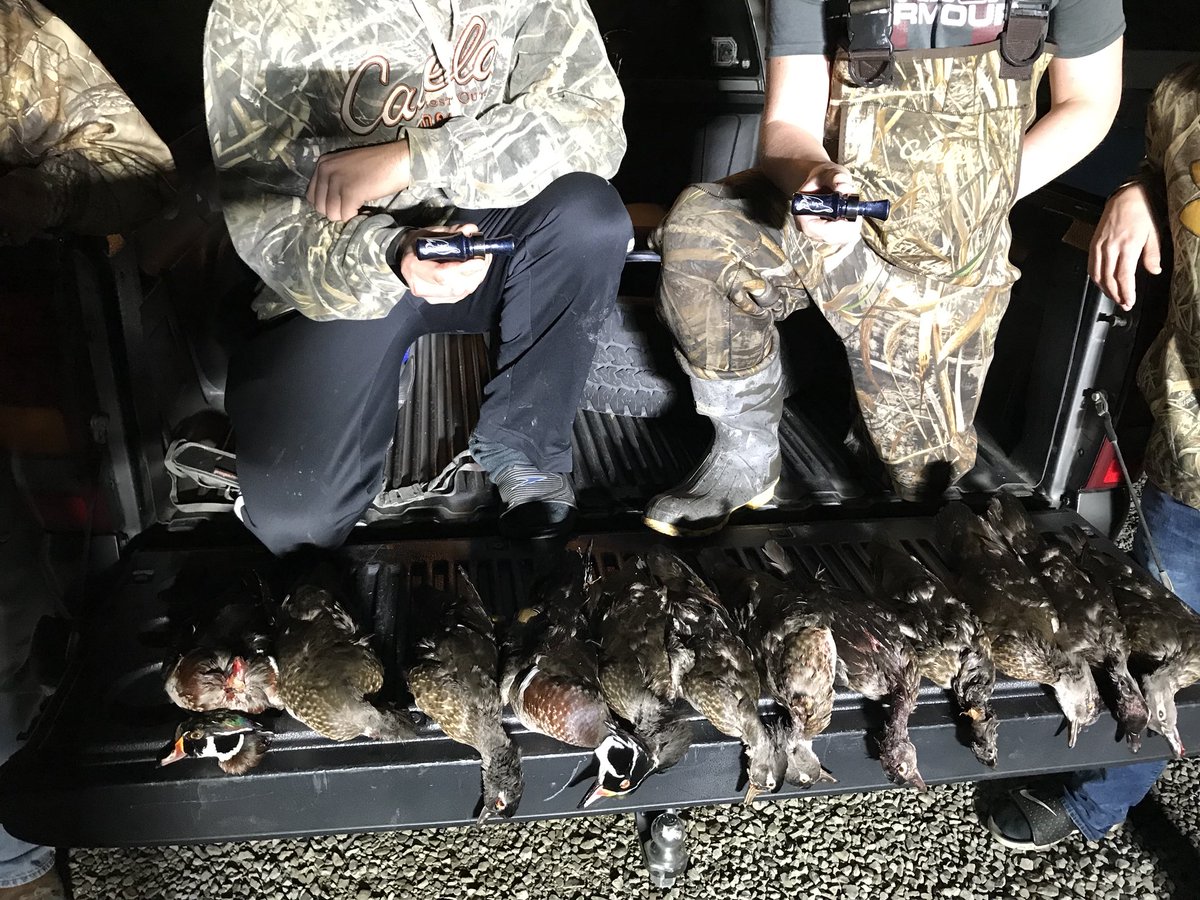 Tail_Chasin's tweet image. Woodies were rollin down for our four man limit last night! #ChasinTail #LeadHead #Waterfowl