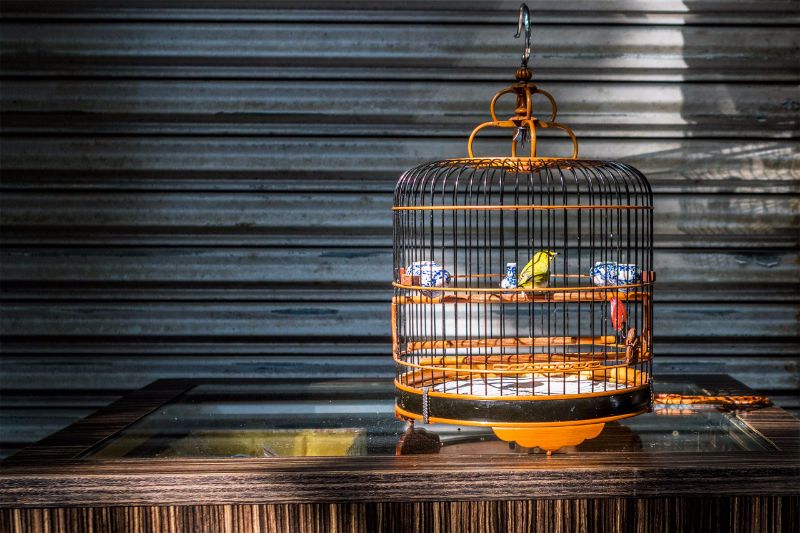 Aveve Rotselaar At Aveverotselaar Twitter