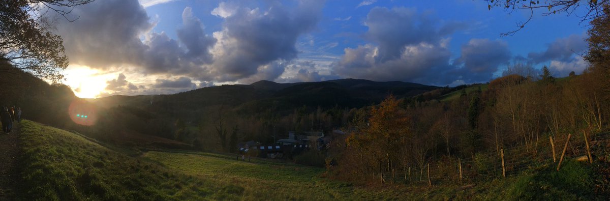 ba_whittaker's tweet photo. The #WEEN17 bioblitz found 18 species of Plant, 6 Bryophytes, 4 Inverts, 3 Birds, 3 Fungi, 2 Mammals in 1 hour @WEEN_Wales @centre_alt_tech https://t.co/0occqqvOuB