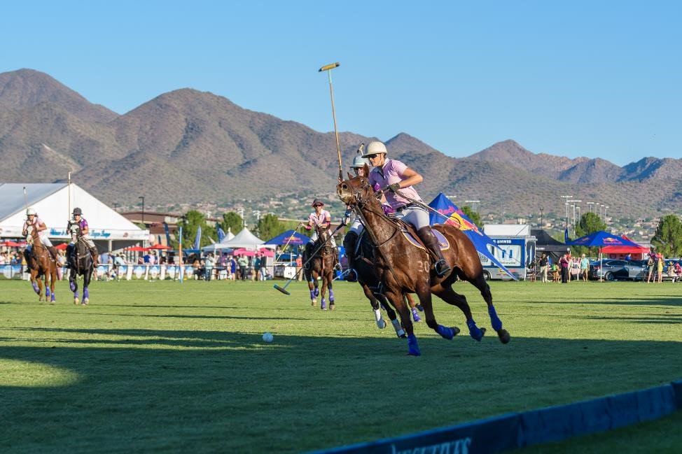 ThePoloParty's tweet photo. 81 & Sunny. The forecast a week from today for the world's greatest #polo party. #NoExcuses #BeThere #NothingLikeYourFirstTime #OrSeventh https://t.co/JAThhwSAXg